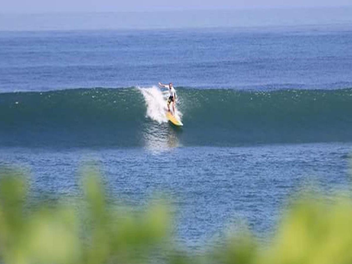 The Nest Canggu Albergue Exterior foto